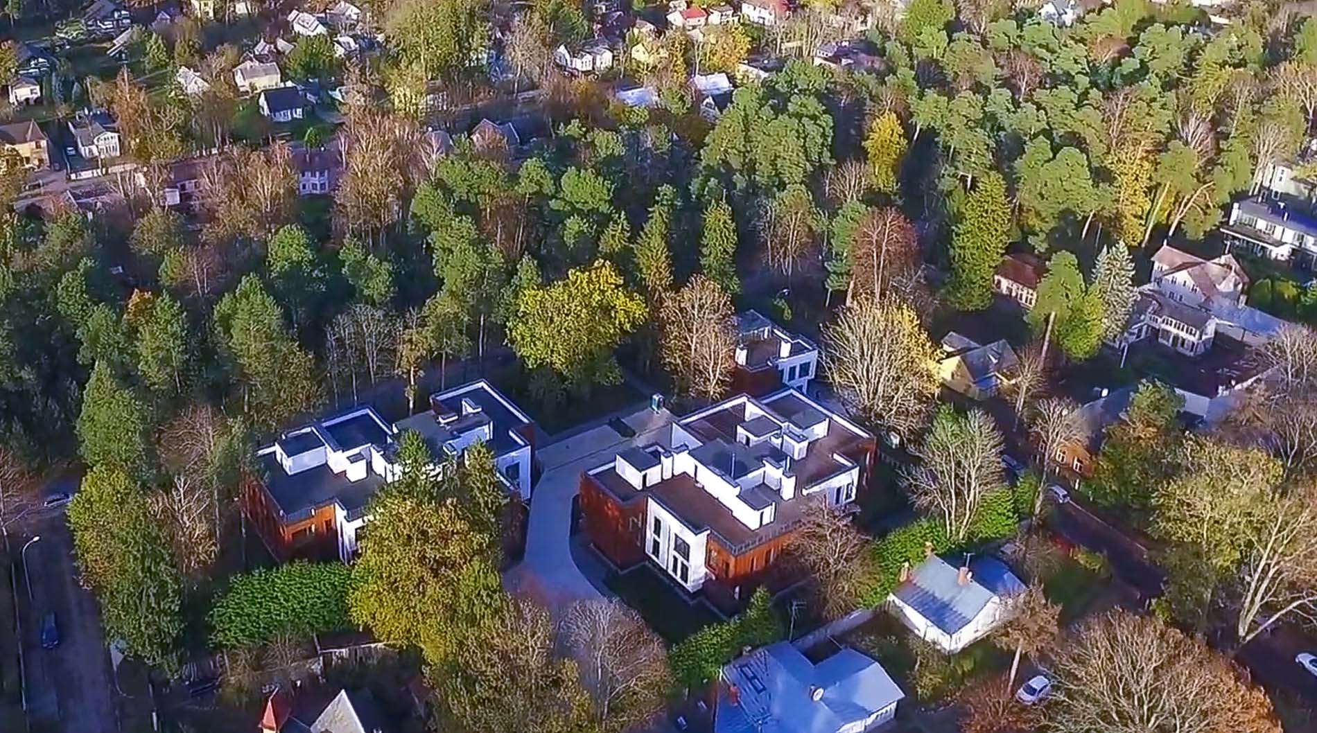 pine wood aerofoto