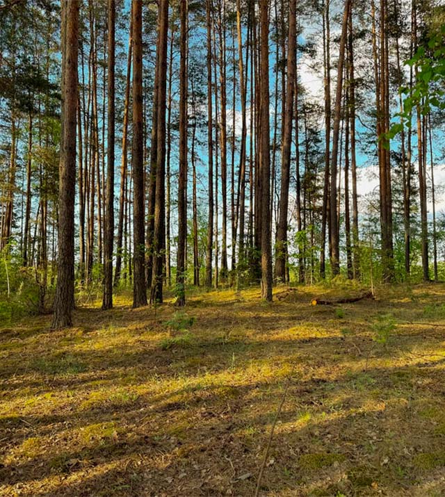 011-upmali-0.5ha-hutor.jpg