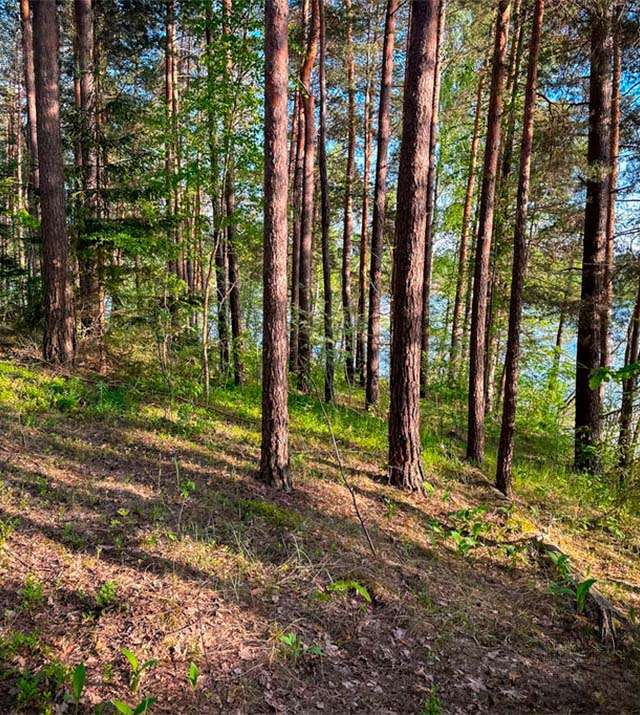 012-upmali-0.5ha-hutor.jpg