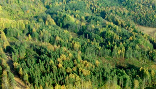 03-01-sapropelj-10ha-hutor.jpg