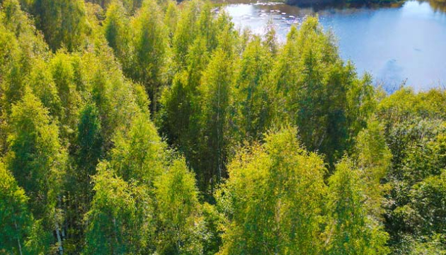 03-lini-13.2ha-ribnoe-hozajstvo-hutor-lv.jpg