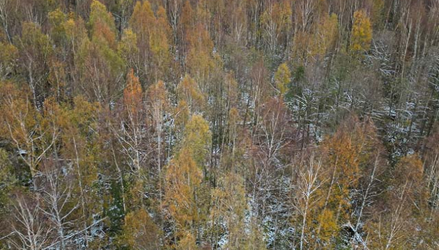 04-pildas-10ha-nuksnu-pag-ludzas-raj-ez-pildas-hutor.jpg