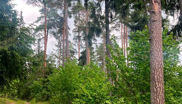 06-pileni-ezezers-hutor.jpg