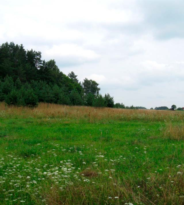 09-musas-ezers-3_4ha-hutor.jpg