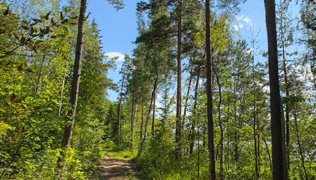 2.5ha-ildzs-geranimovas-hutor-lv-012.jpg
