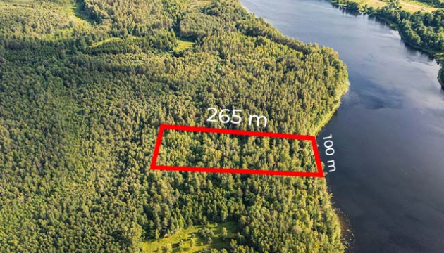 2.5ha-ildzs-geranimovas-hutor-lv-014.jpg