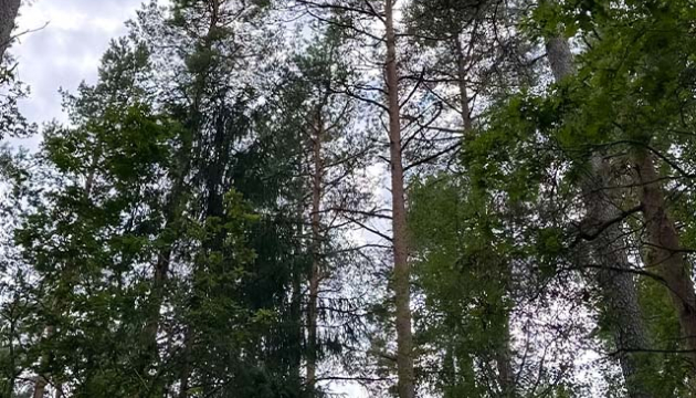 2.5ha-ildzs-geranimovas-hutor-lv-017.jpg