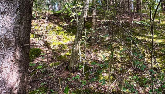 2.5ha-ildzs-geranimovas-hutor-lv-02.jpg
