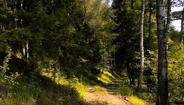 2.5ha-ildzs-geranimovas-hutor-lv-05.jpg