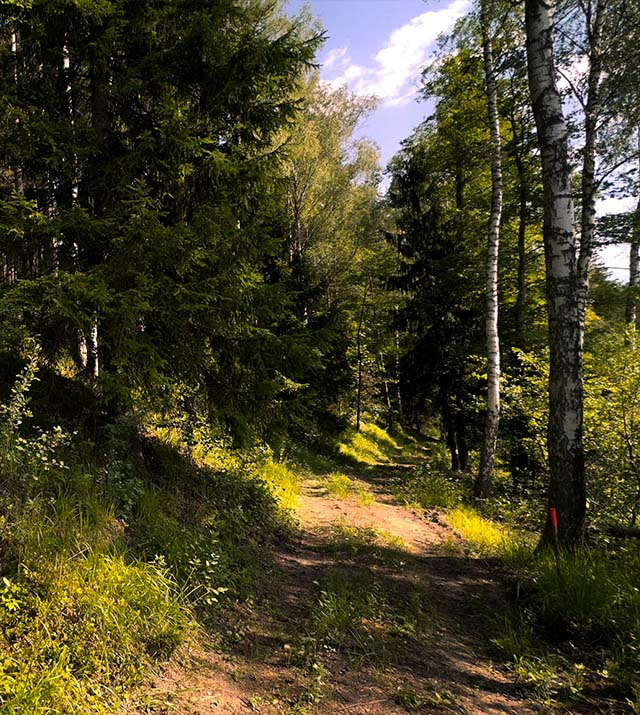 2.5ha-ildzs-geranimovas-hutor-lv-05.jpg