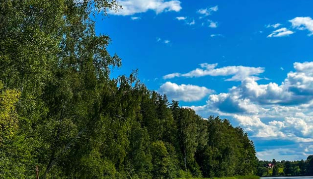 2.5ha-ildzs-geranimovas-hutor-lv-09.jpg
