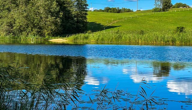 dridzis_janu_setas-andreja_osta-12ha-hutor_lv-03.jpg