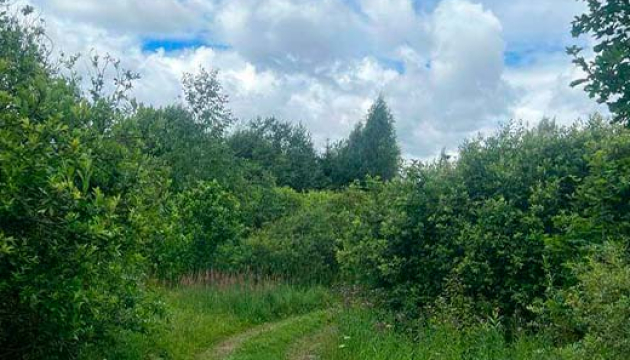 lini-13.2ha-ribnoe-hozajstvo-hutor-023.jpg