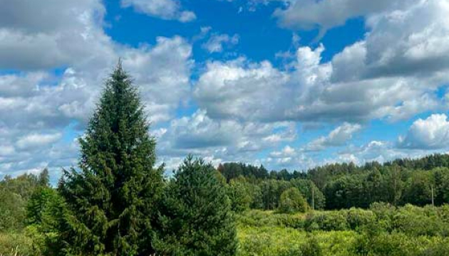 lini-13.2ha-ribnoe-hozajstvo-hutor-024.jpg