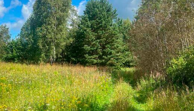 lini-13.2ha-ribnoe-hozajstvo-hutor-02.jpg