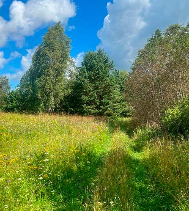 lini-13.2ha-ribnoe-hozajstvo-hutor-02.jpg