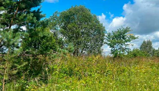 lini-13.2ha-ribnoe-hozajstvo-hutor-03.jpg